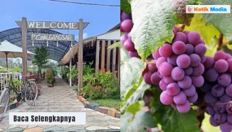 Taman Gangsar Pakis Malang: Wisata Keluarga Terbaik