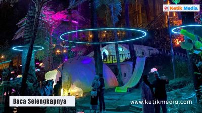 Hutan Mycelia: Lokasi, HTM, Jam Buka Tutup, Daya Tarik dan Tips Berkunjung