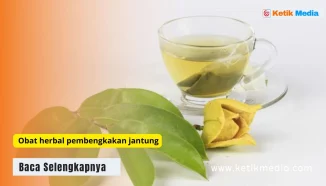 5 Obat Herbal Pembengkakan Jantung yang Bisa Dikonsumsi