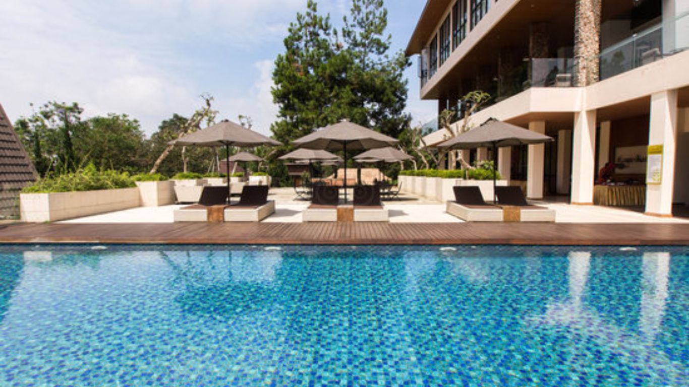 Penginapan dekat Hutan Mycelia