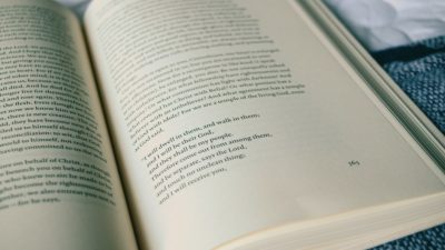 Penulis Novel Online