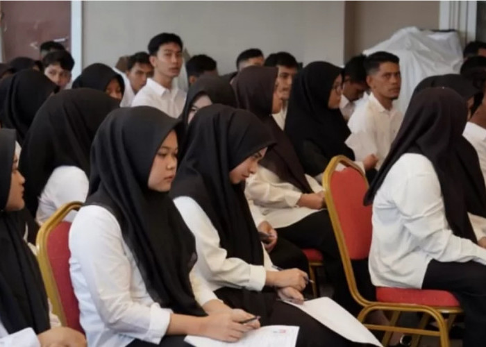 penyebab TMS di seleksi PPPK 2024