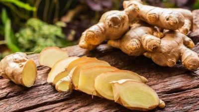 Obat Herbal Penyakit Jantung