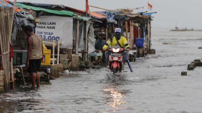 banjir rob