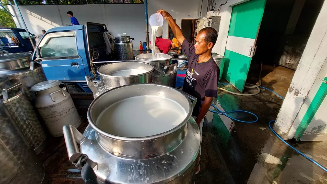 pengepul susu boyolali tutup