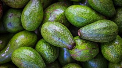 Tips Memilih Alpukat yang Matang Cara Memilih Alpukat Yang Bagus
