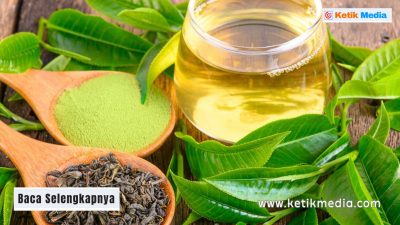 Manfaat Teh Hijau untuk Penderita Hipertensi