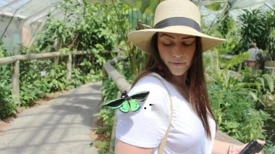 Wisata keluarga terkenal di Bali Butterfly Park