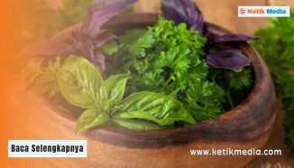 Penggunaan Herbal dalam Pengobatan Hipertensi: Apa yang Perlu Diketahui