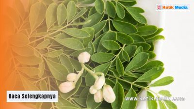 obat tradisional hipertensi