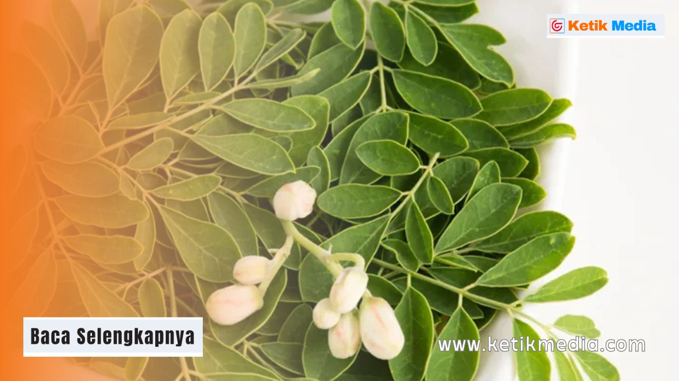 obat tradisional hipertensi