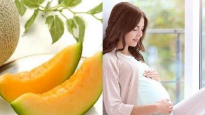 Buah Melon