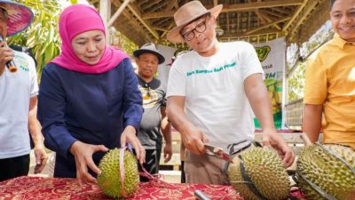 Khofifah: Durian Jatim Siap Menjadi Komoditas Ekspor yang Unggul