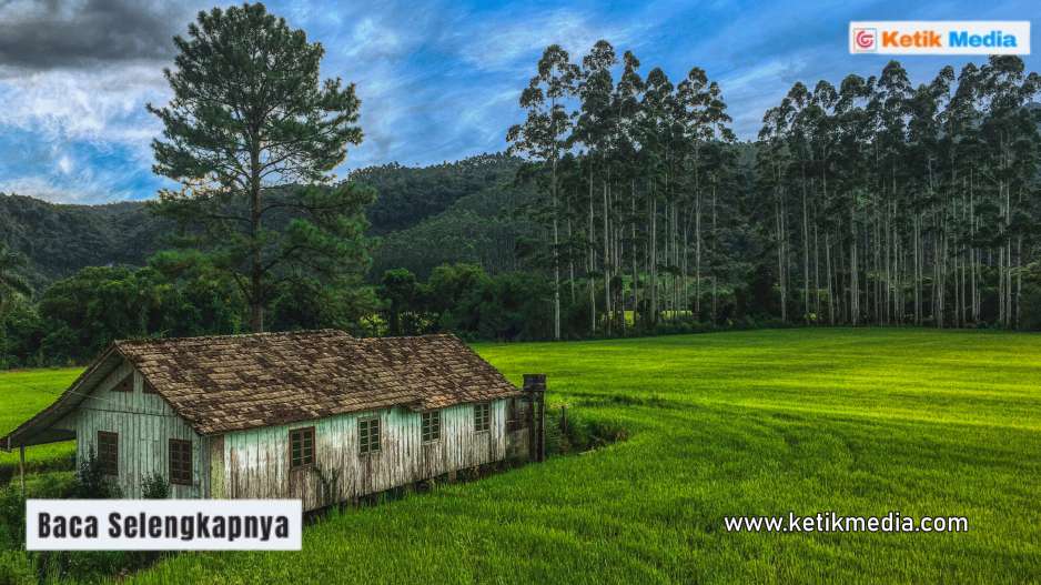Pemandangan alam pedesaan di Indonesia