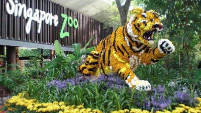 Wisata Singapura di Singapore Zoo