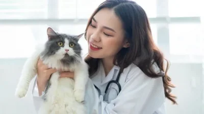 Kupas Tuntas Gaji Dokter Hewan dari yang PNS sampai Swasta