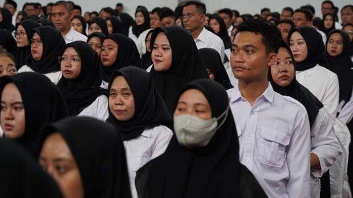 PPPK paruh waktu