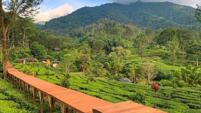 Rekomendasi Tempat Wisata Seputaran Batutumonga