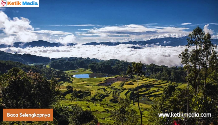 batutumonga toraja