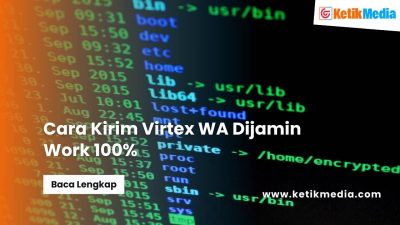 Cara Kirim Virtex WA