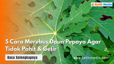 5 Cara Merebus Daun Pepaya Agar Tidak Pahit & Getir