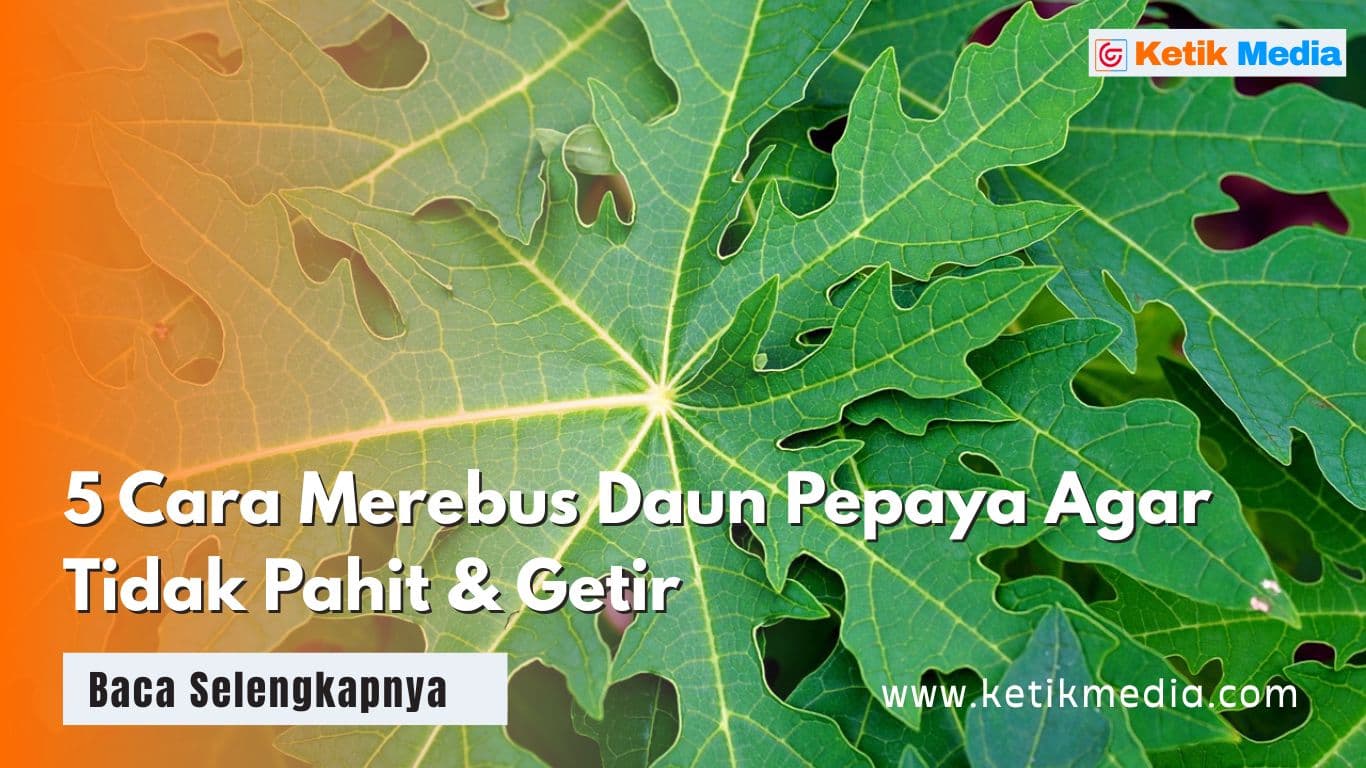 5 Cara Merebus Daun Pepaya Agar Tidak Pahit & Getir