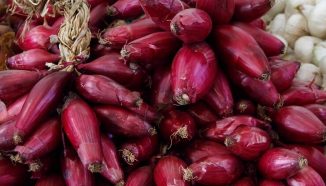 Khasiat Bawang Dayak dan Cara Mengkonsumsi yang Benar