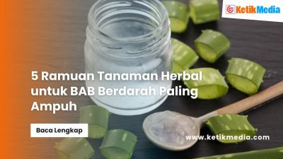 5 Ramuan Tanaman Herbal untuk BAB Berdarah Paling Ampuh