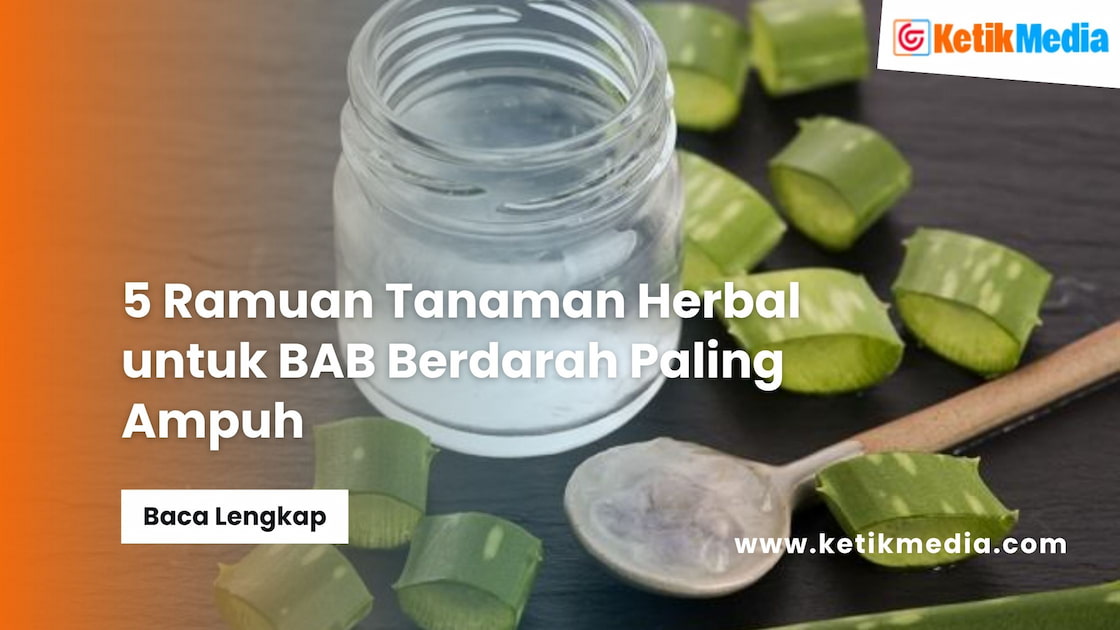 Tanaman Herbal untuk BAB Berdarah