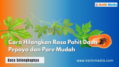 Cara Paling Ampuh Hilangkan Pahit Daun Pepaya dan Pare