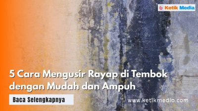 5 Cara Mengusir Rayap di Tembok dengan Mudah dan Ampuh