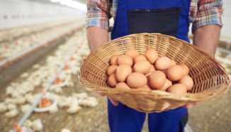 Bisnis Rumahan yang Lagi Booming dan Peluangnya!