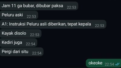 Tangkapan layar pesan beruntun peringatan penembakan massal (sumber: Instagram @revolovetions)