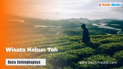 Wisata Kebun Teh Paling Instagramable, Cek 9 Rekomendasi ini
