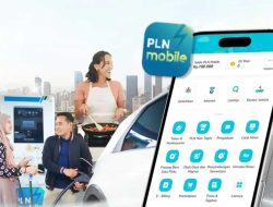 Cara Pengaduan PLN Lewat WhatsApp Anti Ribet, Chat WA ini!