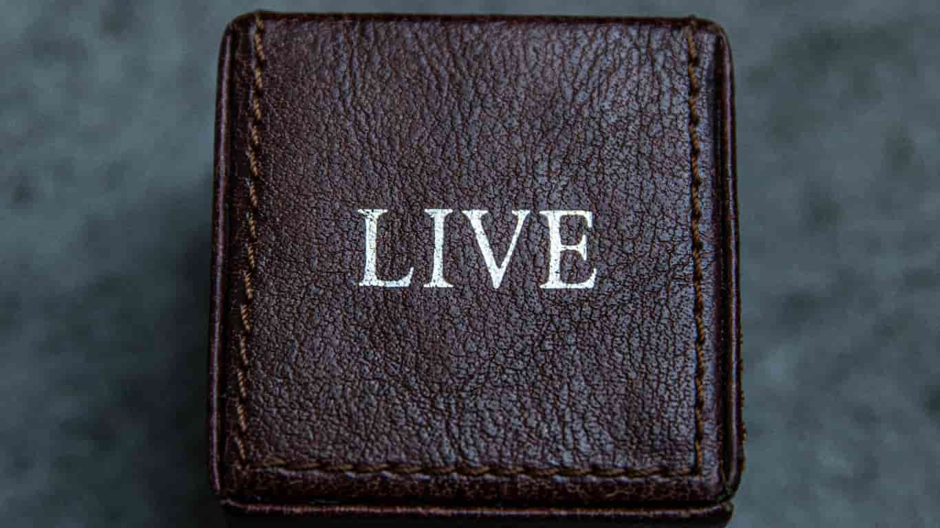 Perbedaan Live dan Life Serta Contohnya pada Bahasa Inggris