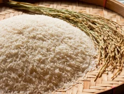10 Liter Beras Berapa Kg? Ini Penjelasannya!