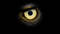 Mengenal Aplikasi Mata Elang dan Fungsinya