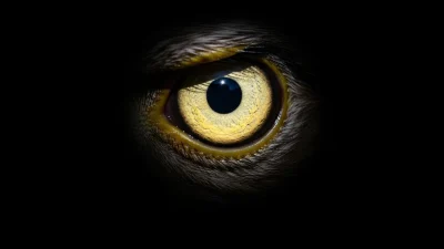 Mengenal Aplikasi Mata Elang dan Fungsinya