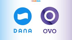 Cara Transfer DANA ke OVO dan Sebaliknya (Terbaru & Lengkap)