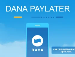 Cara Aktifkan DANA Paylater Terbaru 2026 (Step by Step)