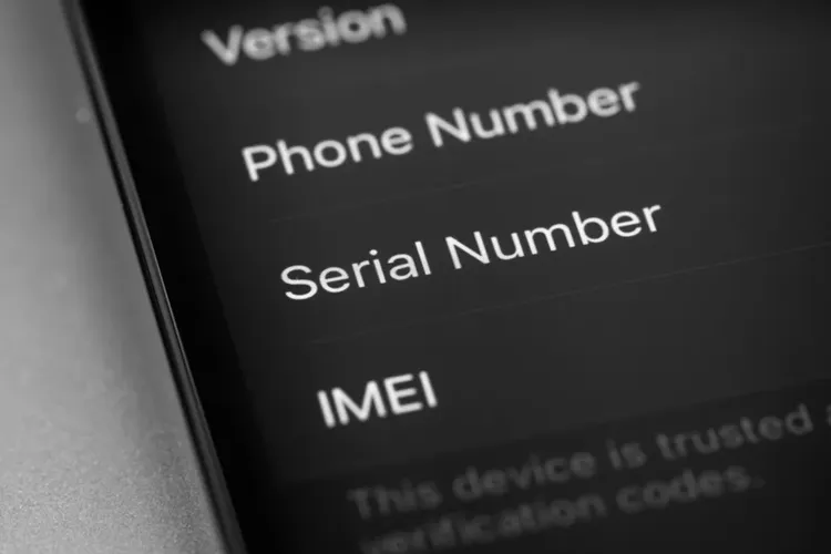 Cara Cek IMEI iPhone Asli atau Palsu (Kemenperin & Apple)