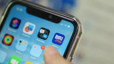 5 Cara Mengatasi Lupa User ID BRImo dan Password