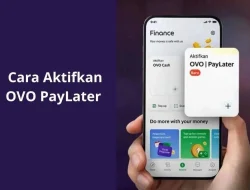 Cara Aktifkan OVO Paylater dengan Cepat dan Praktis