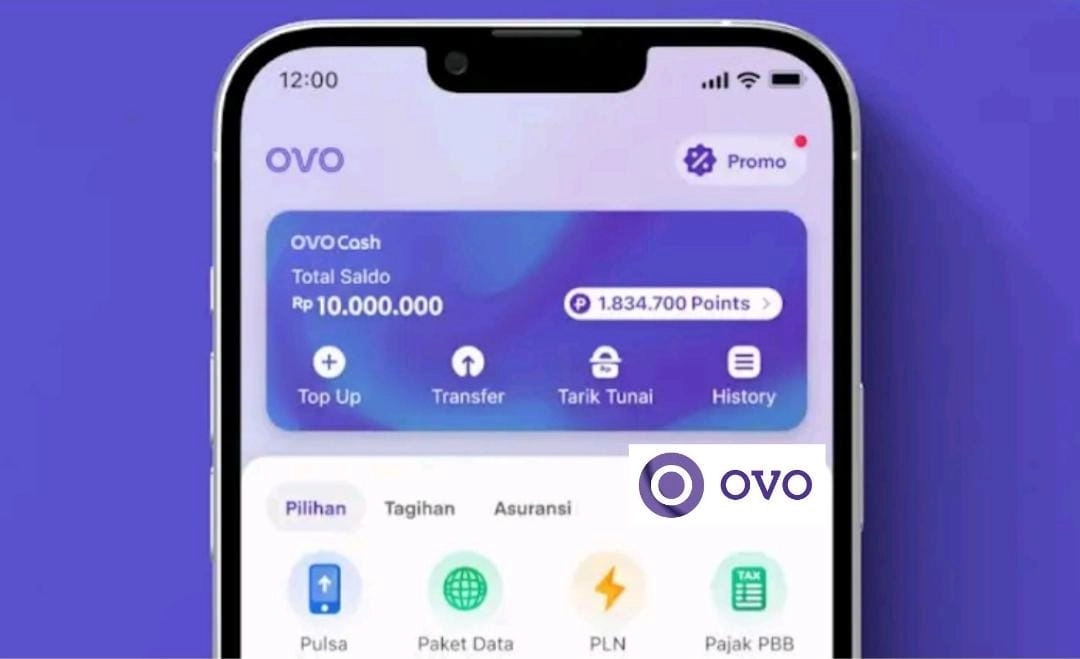 Cara Mencairkan OVO Paylater Langsung ke Rekening Bank