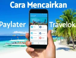 Tips dan Trik Cara Mencairkan Paylater Traveloka Cepat Cair