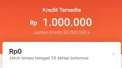 Begini Cara Gestun Shopee Paylater Sendiri Tanpa Bantuan Jasa