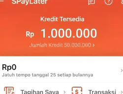 Begini Cara Gestun Shopee Paylater Sendiri Tanpa Bantuan Jasa