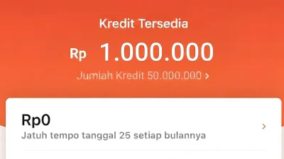 Begini Cara Gestun Shopee Paylater Sendiri Tanpa Bantuan Jasa