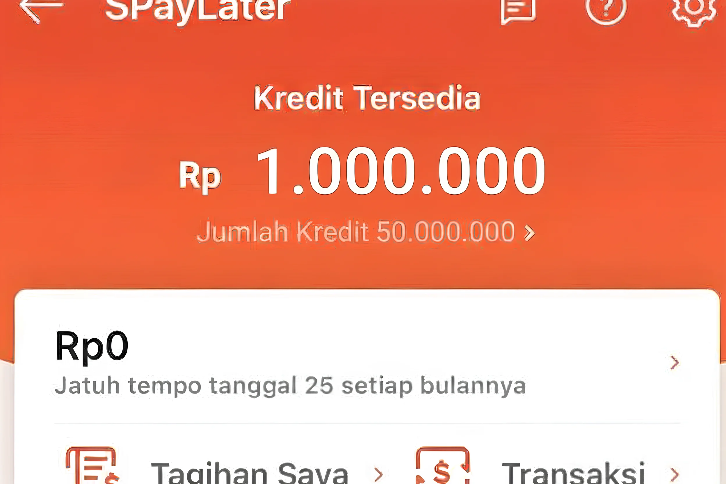 Begini Cara Gestun Shopee Paylater Sendiri Tanpa Bantuan Jasa